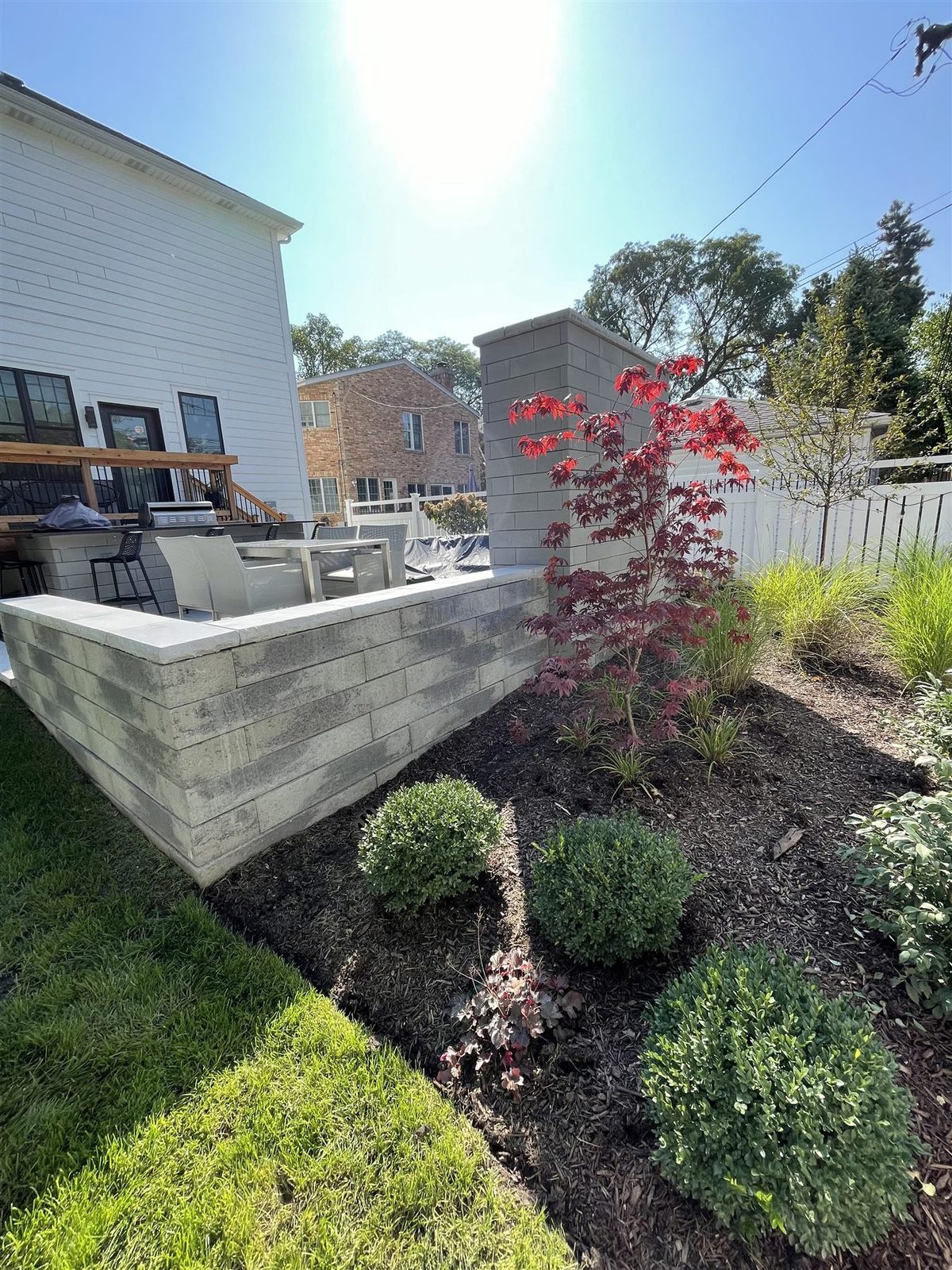 Fresh plantings with Japanese maple beside a seat wall