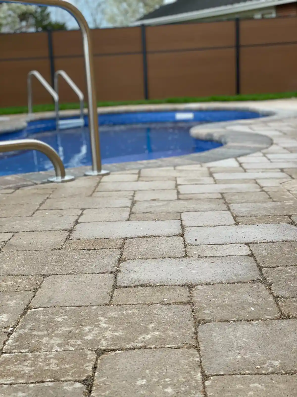 Davis St Project: Full Yard, Outdoor Living (photo 12 of 21)