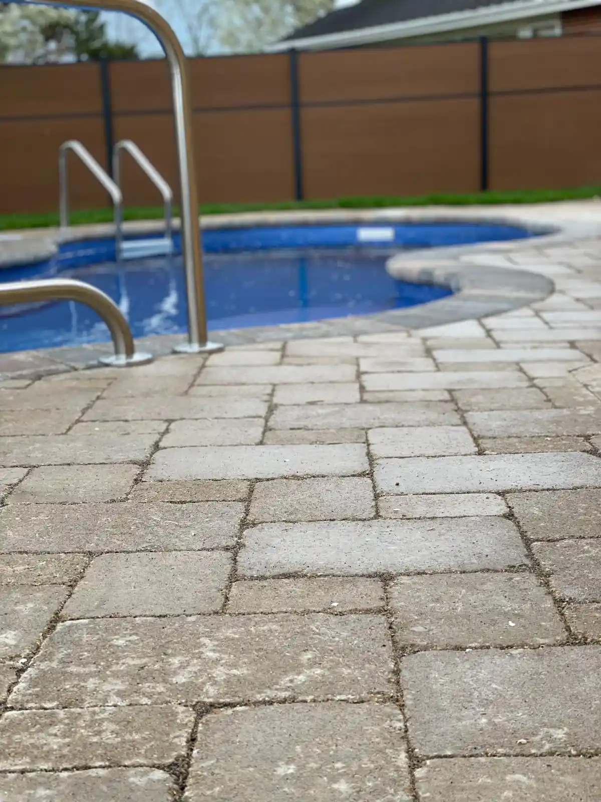 Davis St Project: Full Yard, Outdoor Living (photo 13 of 21)