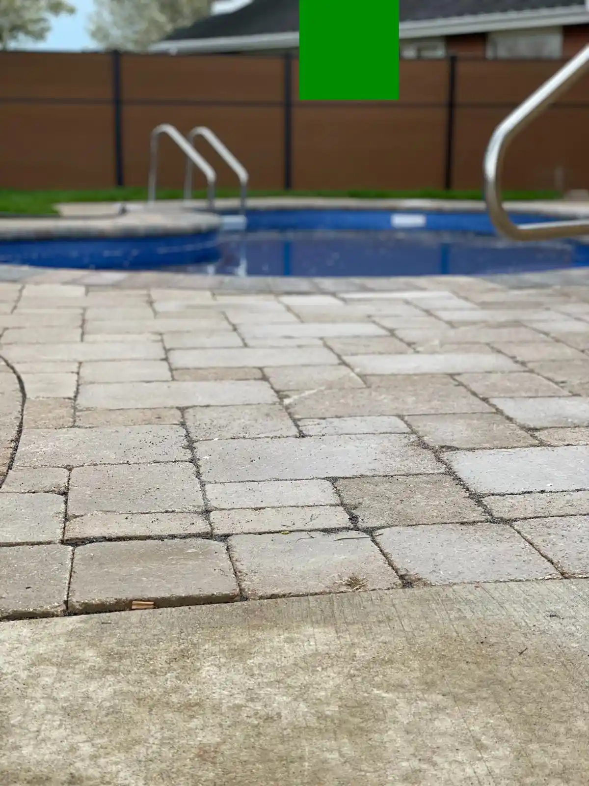 Davis St Project: Full Yard, Outdoor Living (photo 15 of 21)