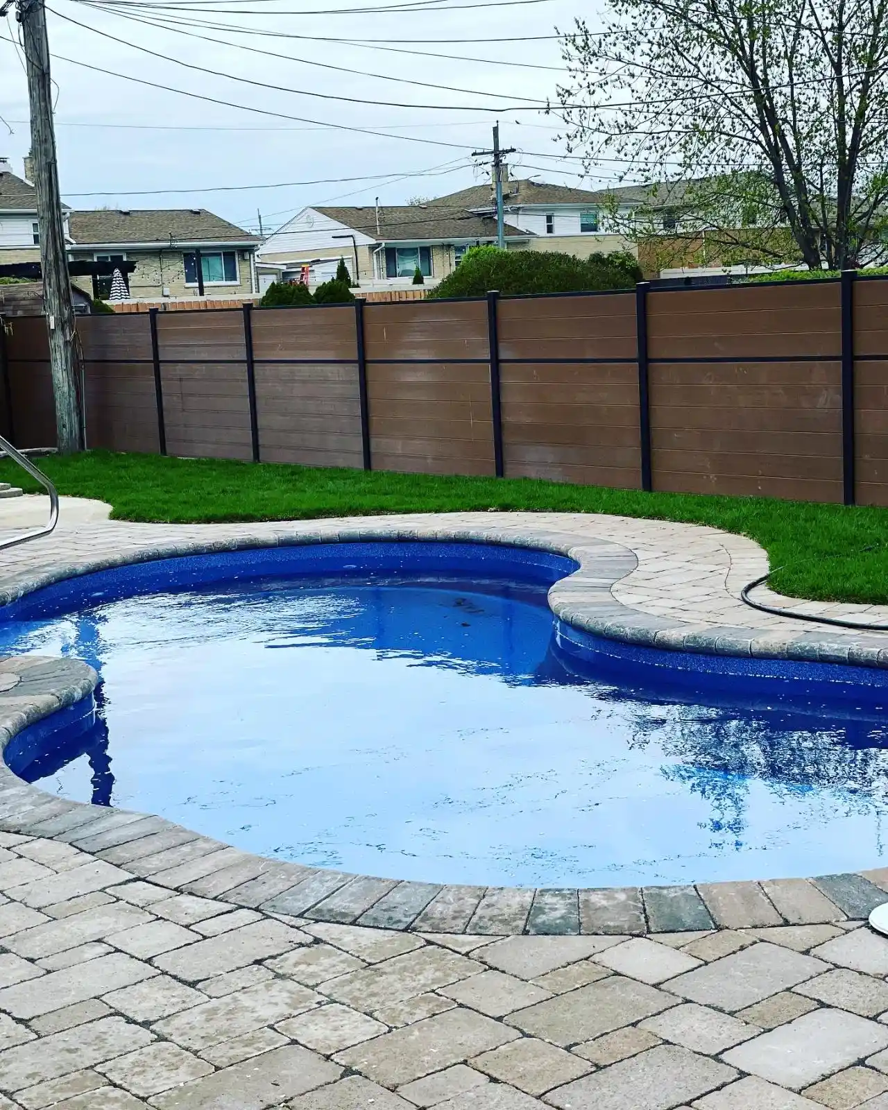 Davis St Project: Full Yard, Outdoor Living (photo 5 of 21)