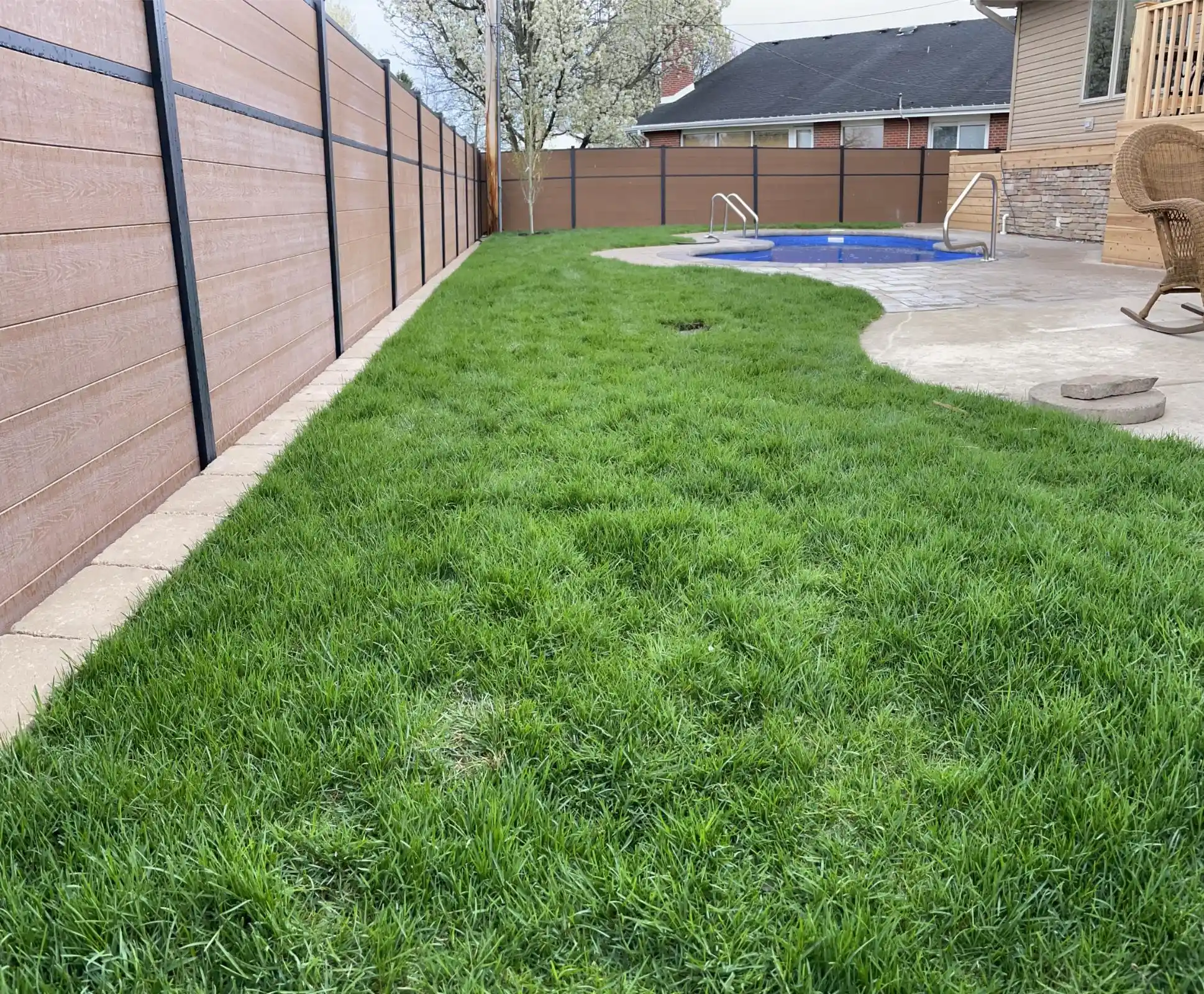 Davis St Project: Full Yard, Outdoor Living (photo 6 of 21)