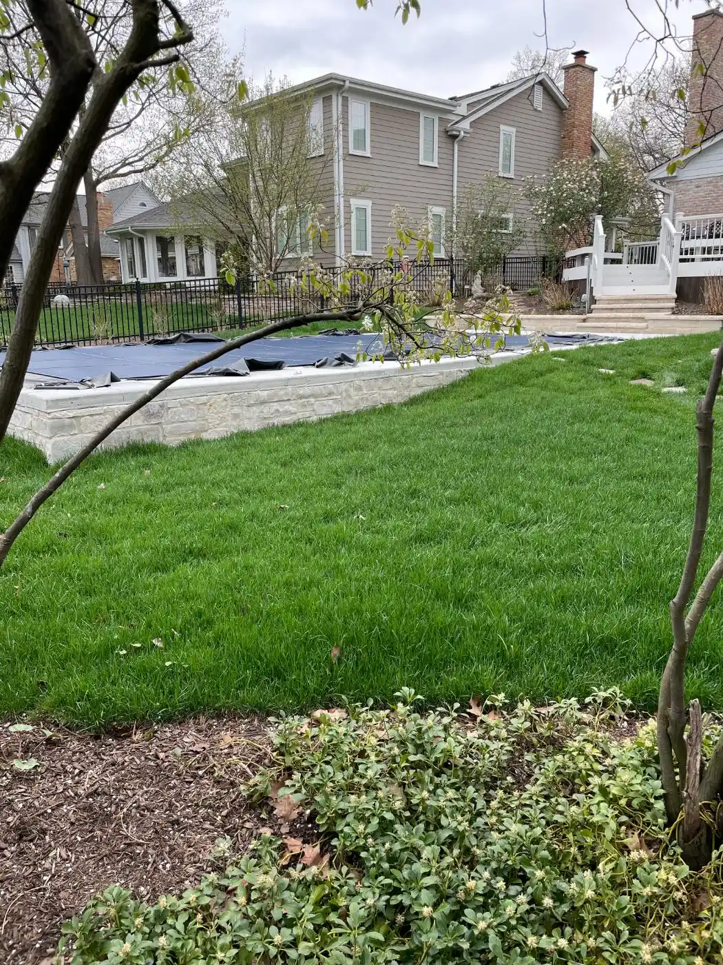 Johnson Ave Project: Full Yard, Hardscape & Landscape (photo 12 of 17)