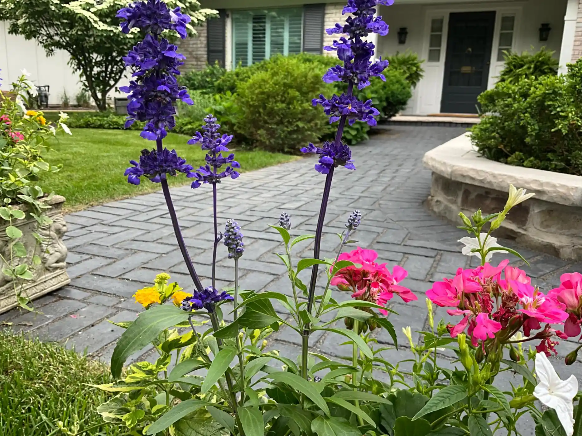 Johnson Ave Project: Full Yard, Hardscape & Landscape (photo 2 of 17)