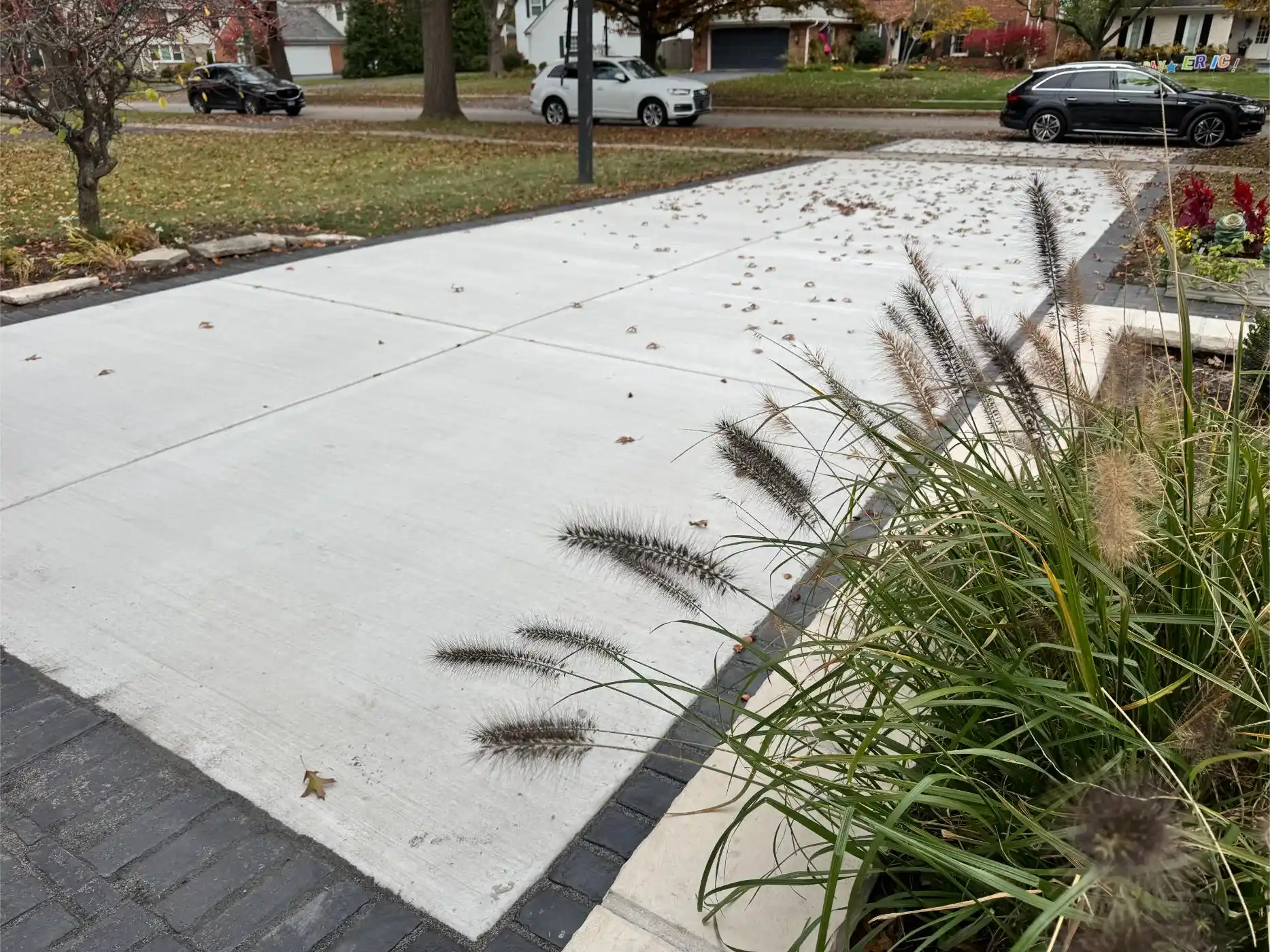 Johnson Ave Project: Full Yard, Hardscape & Landscape (photo 3 of 17)