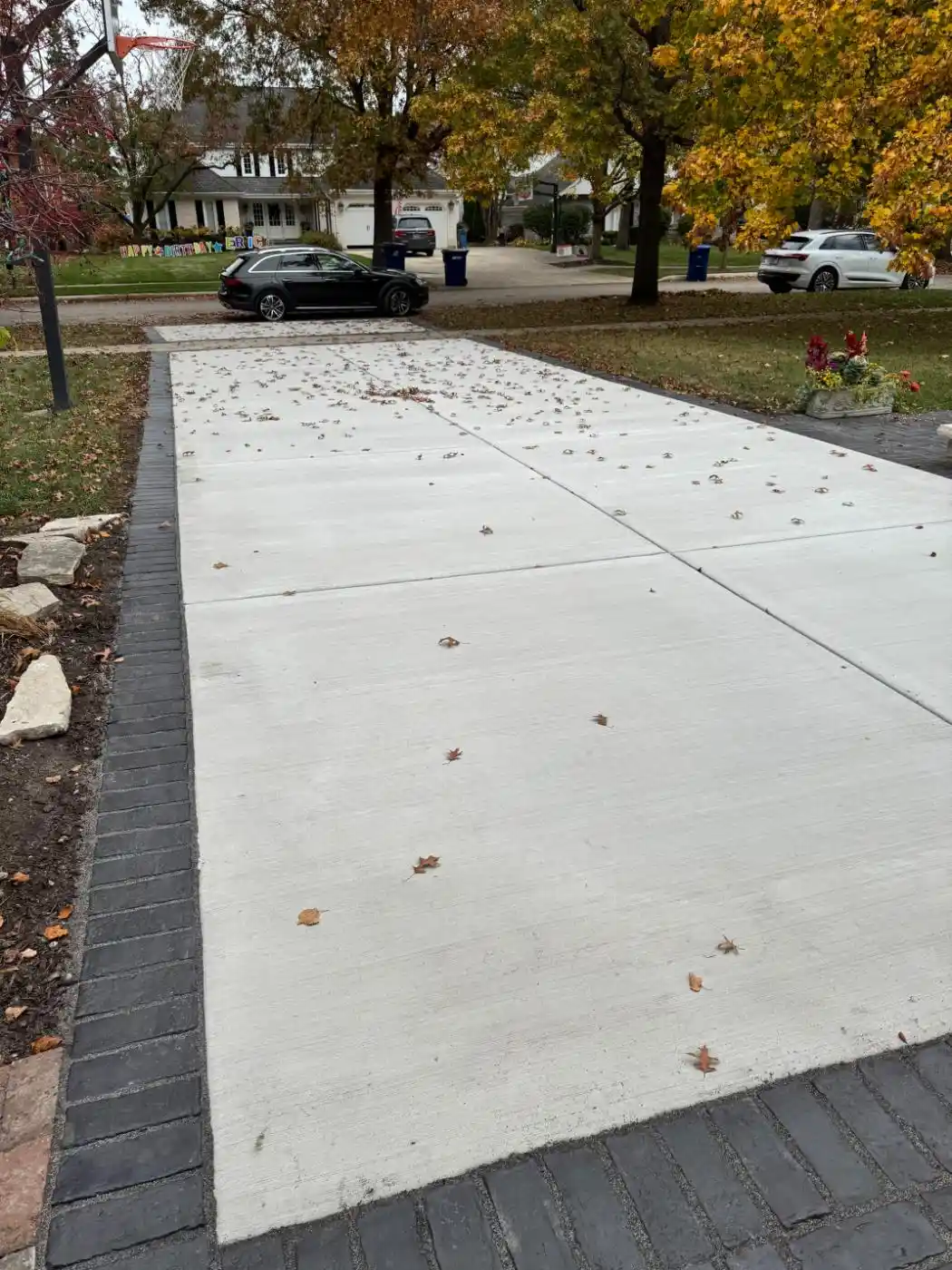 Johnson Ave Project: Full Yard, Hardscape & Landscape (photo 4 of 17)