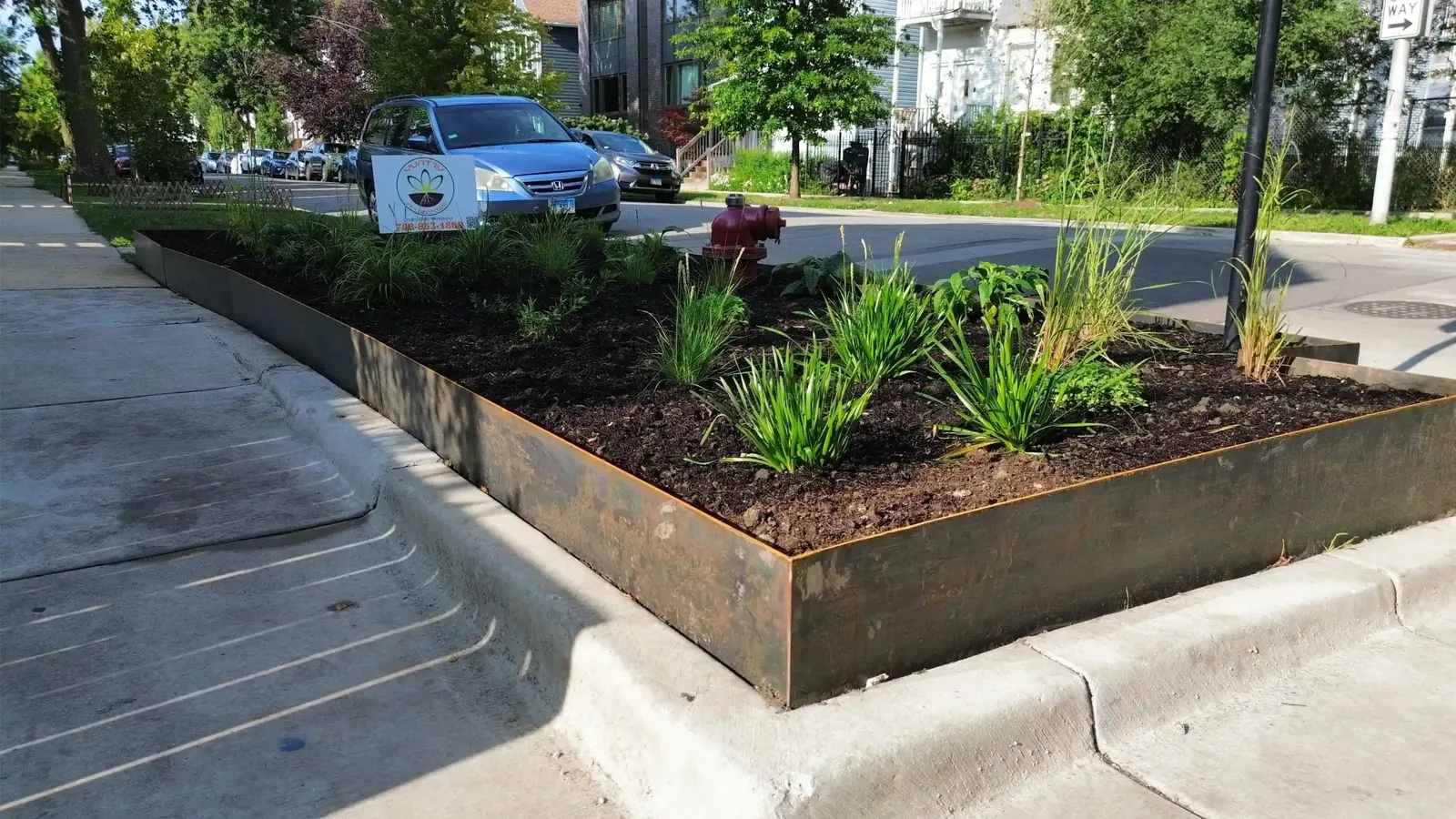 Mozart Ave Project: Modern Landscape, Steel-Edged Beds, Streetscape (photo 1 of 6)