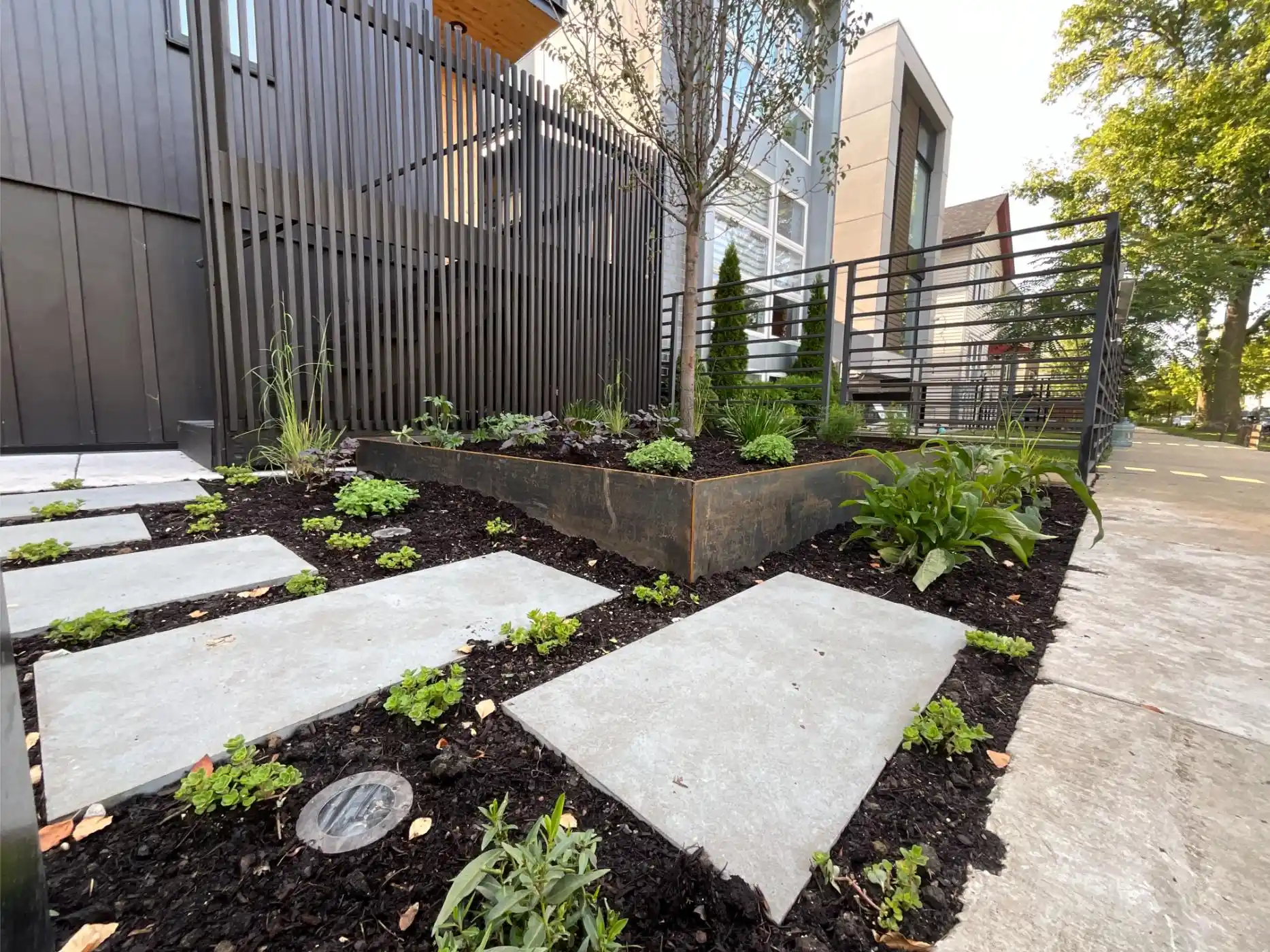 Mozart Ave Project: Modern Landscape, Steel-Edged Beds, Streetscape (photo 3 of 6)