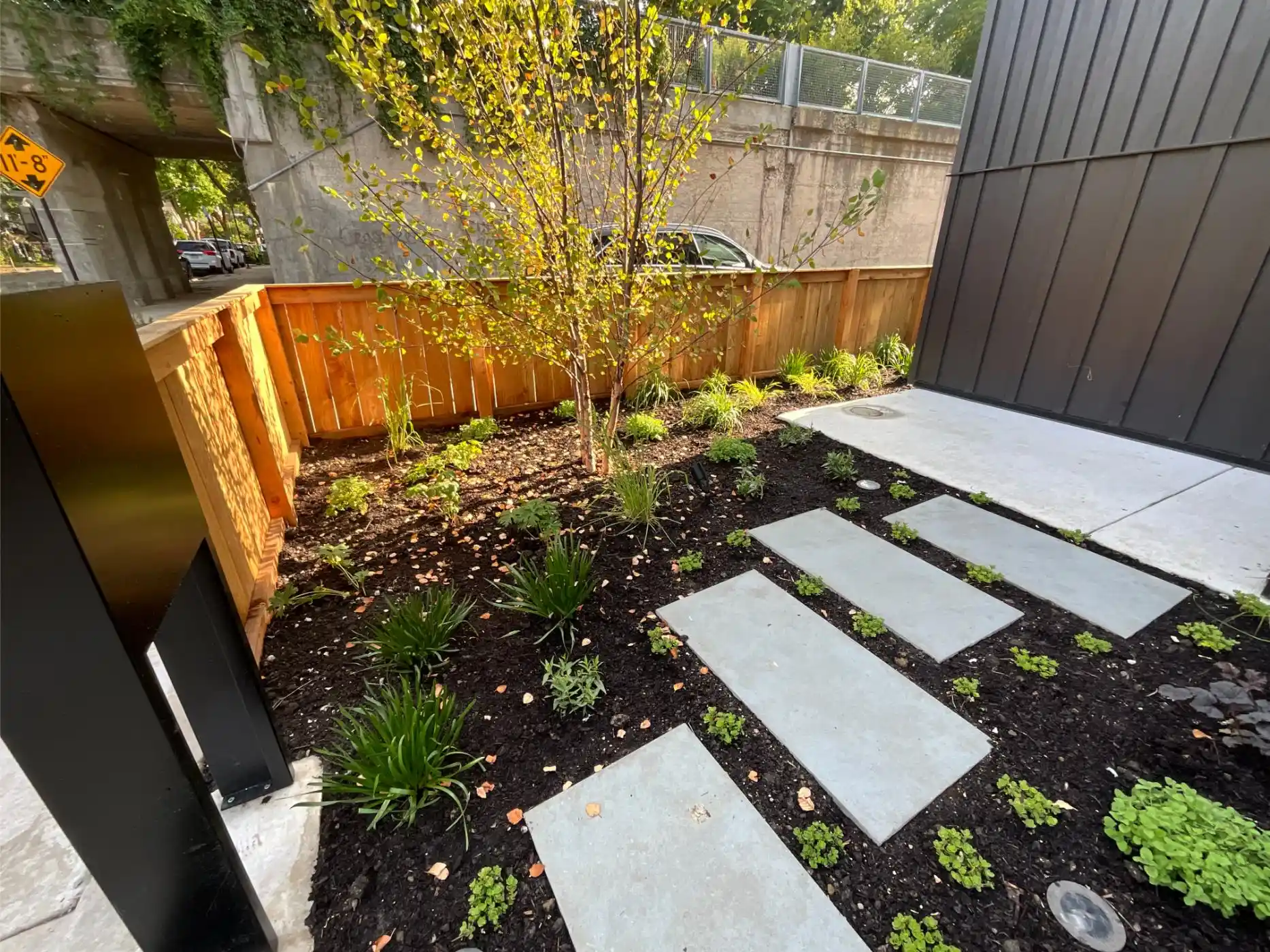 Mozart Ave Project: Modern Landscape, Steel-Edged Beds, Streetscape (photo 4 of 6)