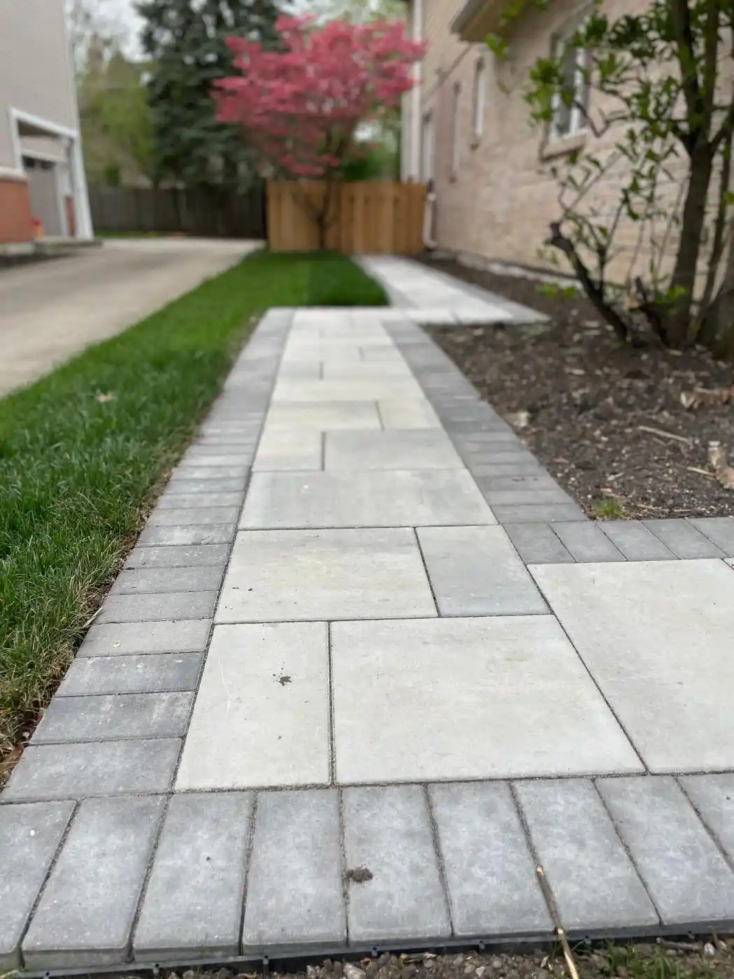 Phillippa St Project: Hardscape, Landscape (photo 10 of 12)