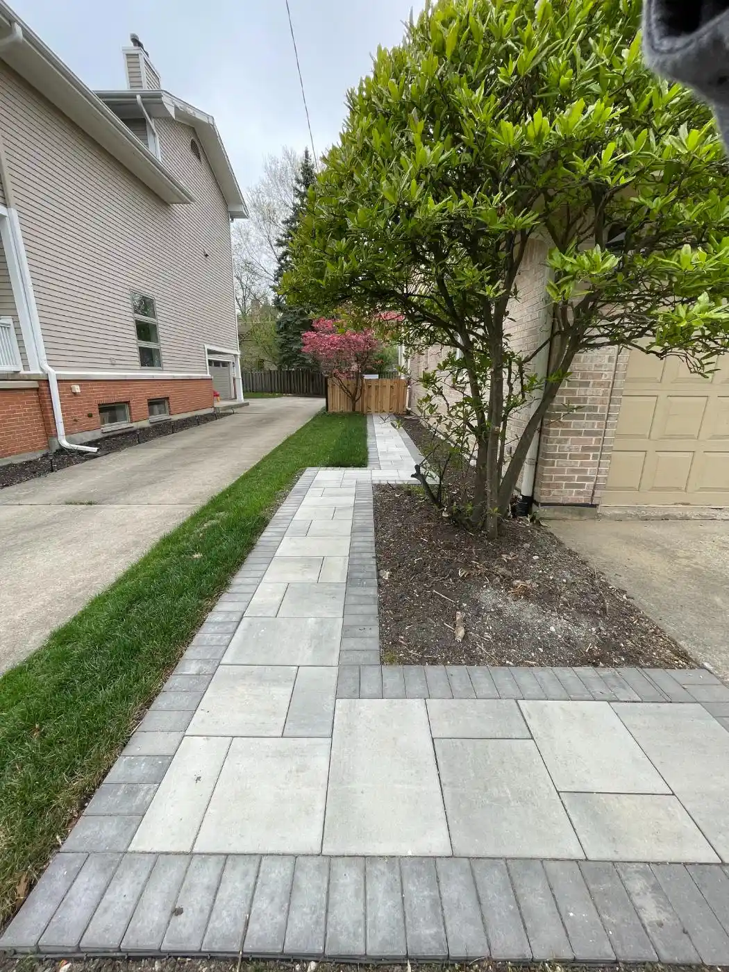 Phillippa St Project: Hardscape, Landscape (photo 12 of 12)