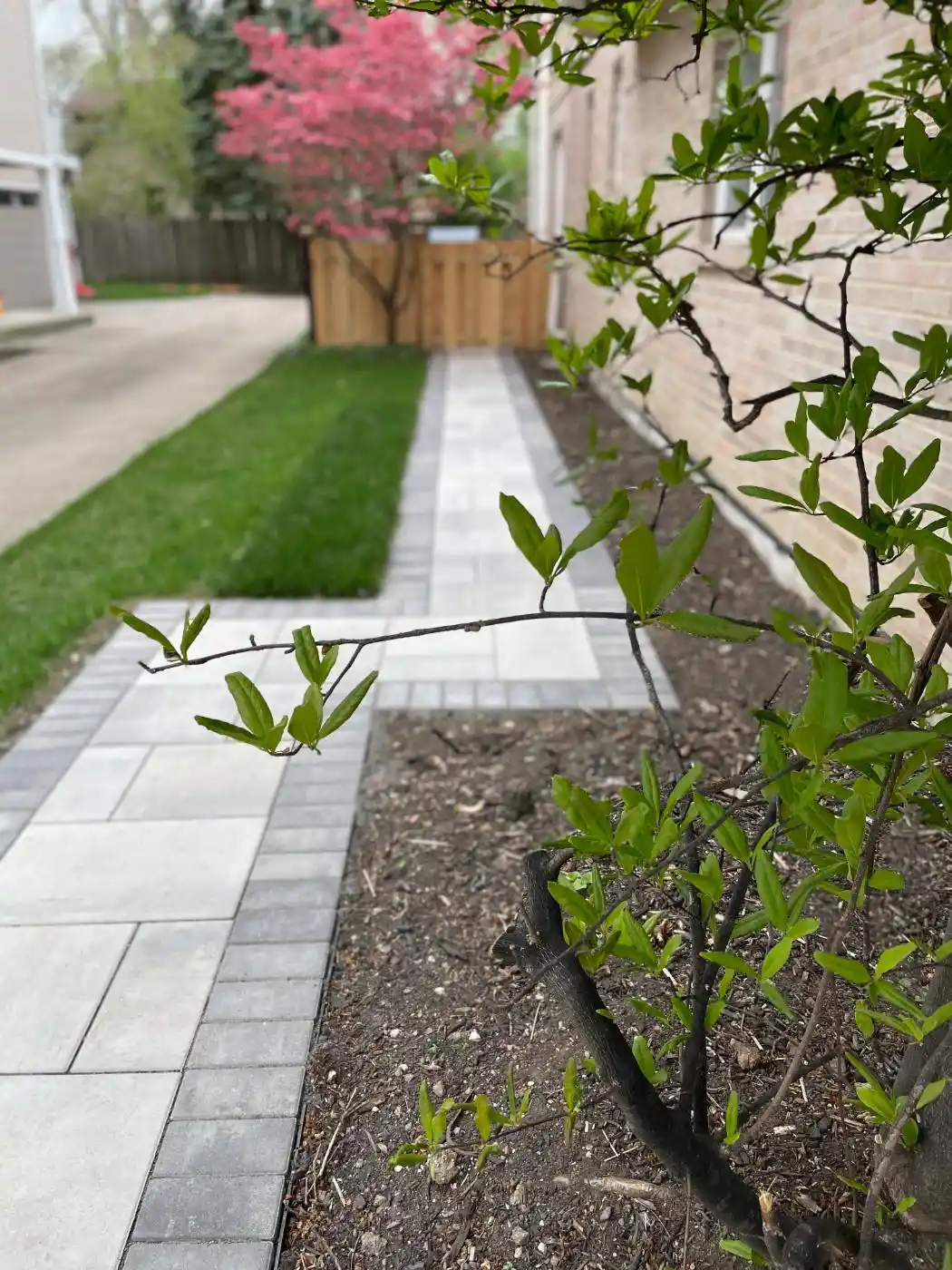 Phillippa St Project: Hardscape, Landscape (photo 9 of 12)